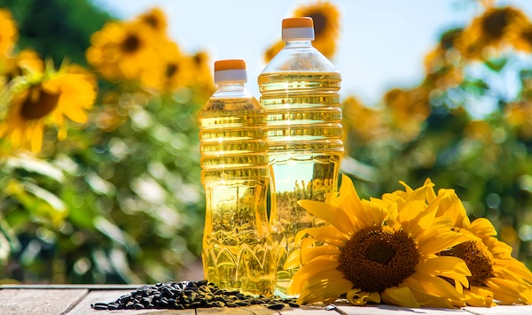 Sunflower oil in a bottle on the field. Selective focus. Nature. Sunflower oil in a bottle on the field.